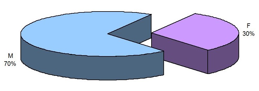 Cattura3
